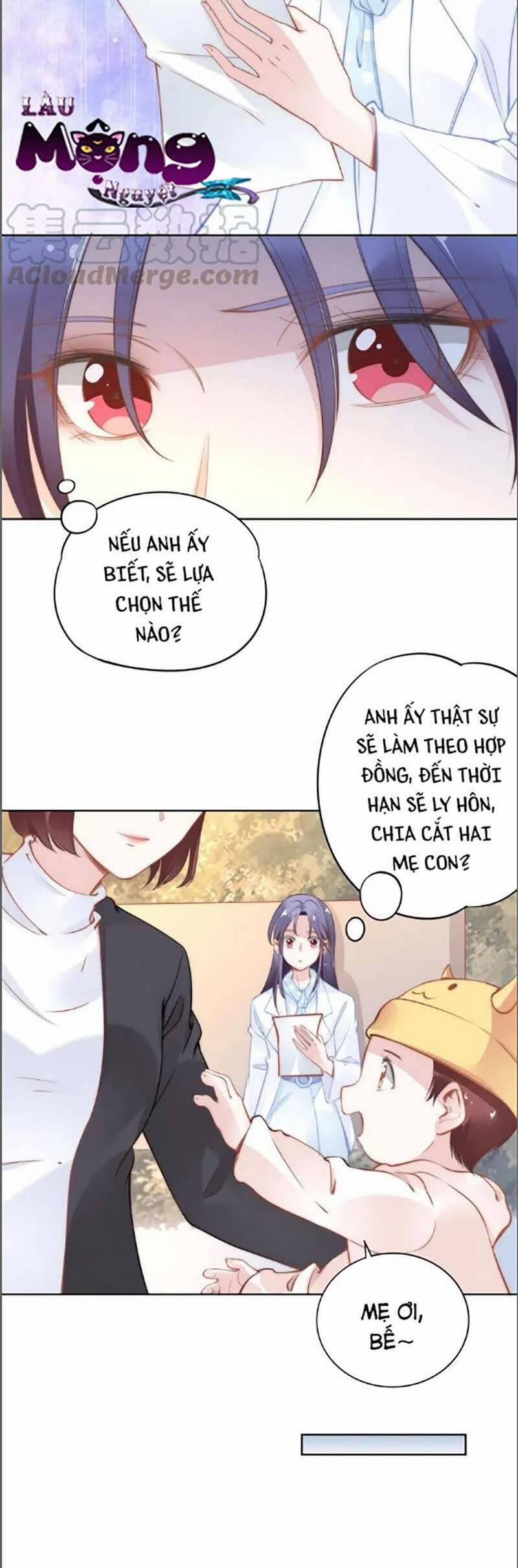 Quyền Thiểu, Nhĩ Lão Bà Yêu Bào Liễu 37 trang 8