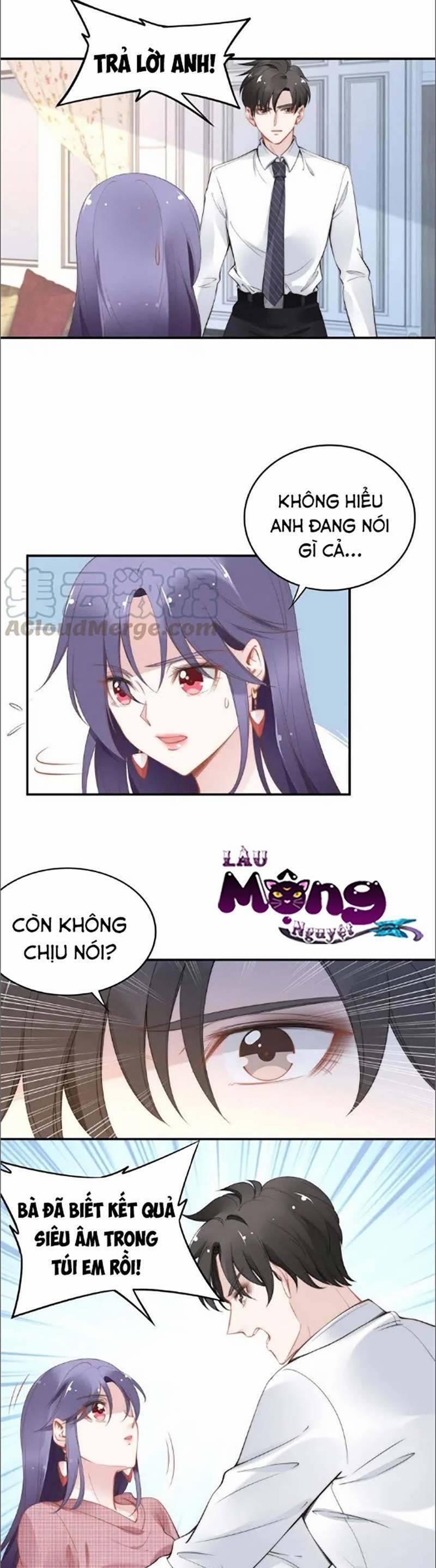 Quyền Thiểu, Nhĩ Lão Bà Yêu Bào Liễu 39 trang 0