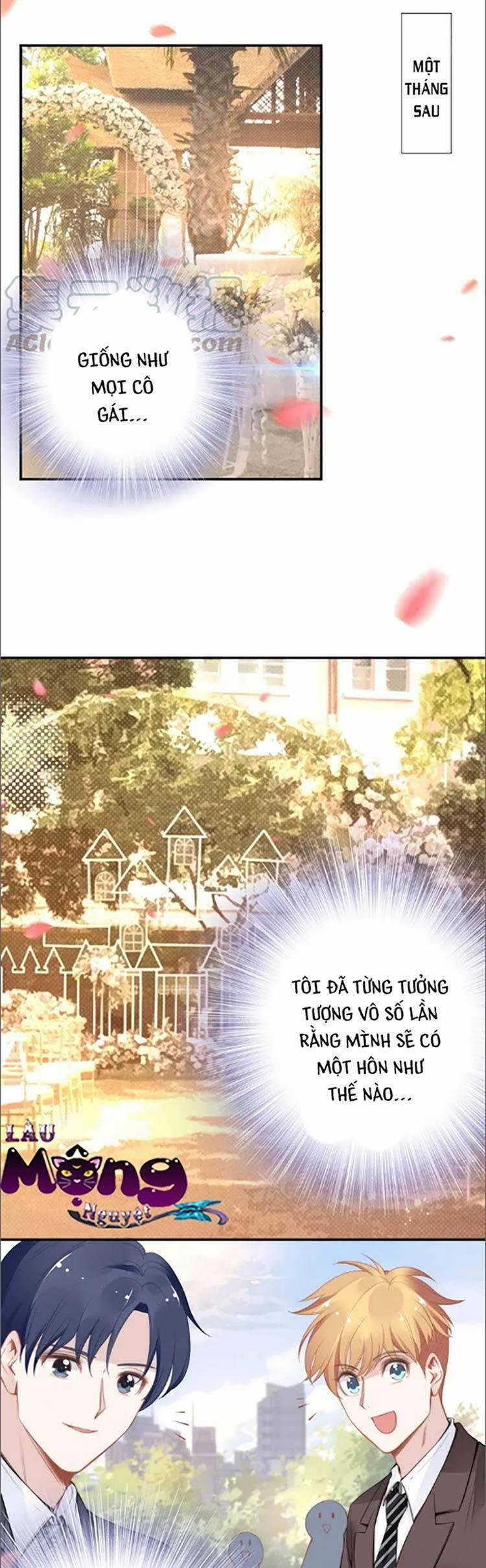 Quyền Thiểu, Nhĩ Lão Bà Yêu Bào Liễu 40 trang 0