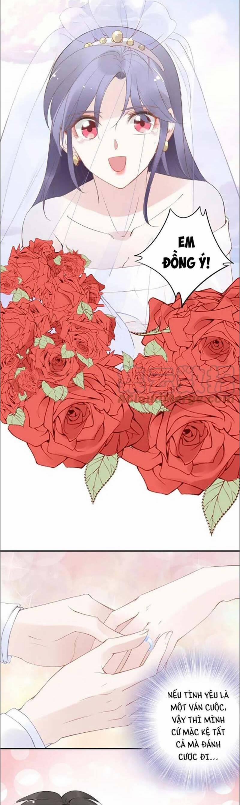 Quyền Thiểu, Nhĩ Lão Bà Yêu Bào Liễu 40 trang 15