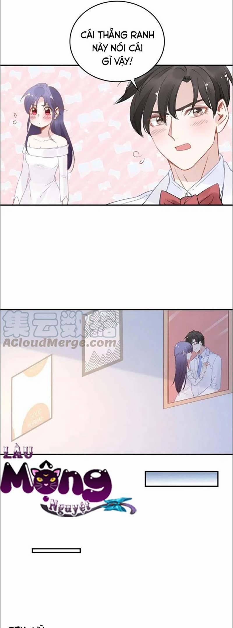 Quyền Thiểu, Nhĩ Lão Bà Yêu Bào Liễu 41 trang 5