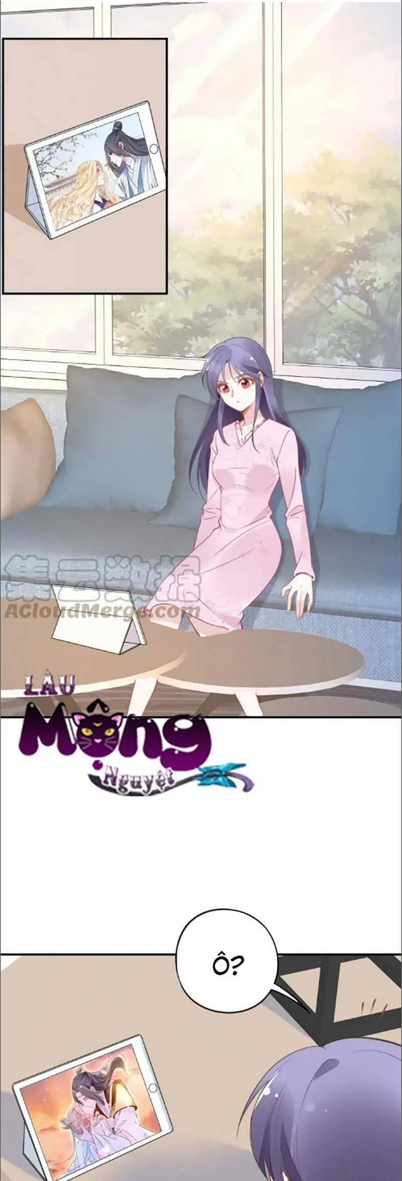 Quyền Thiểu, Nhĩ Lão Bà Yêu Bào Liễu 43 trang 0