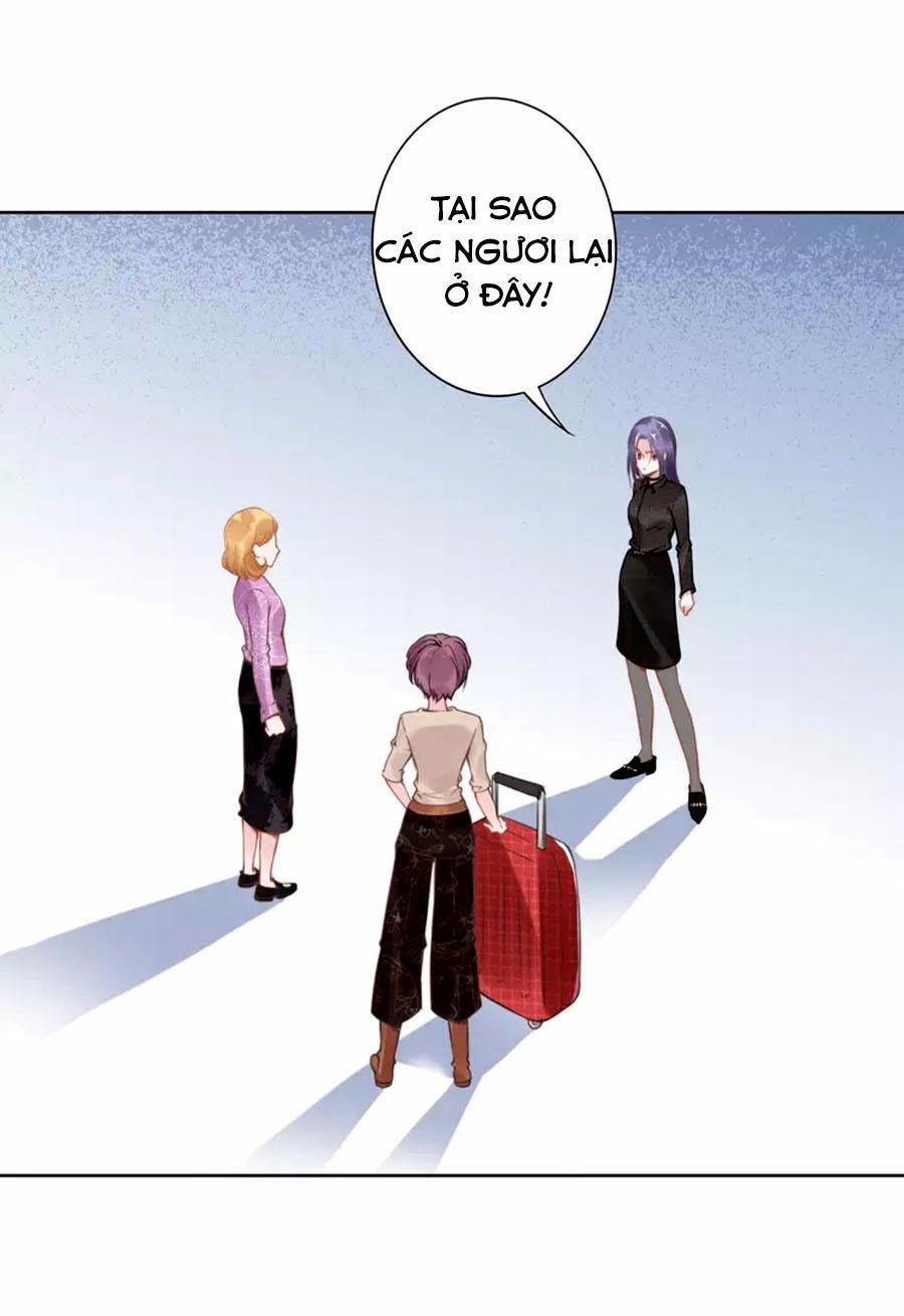 Quyền Thiểu, Nhĩ Lão Bà Yêu Bào Liễu 5 trang 15