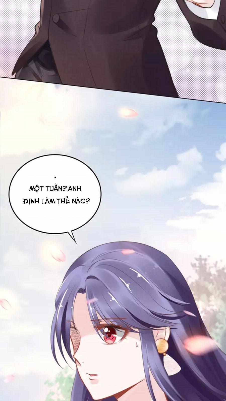 Quyền Thiểu, Nhĩ Lão Bà Yêu Bào Liễu 8 trang 16