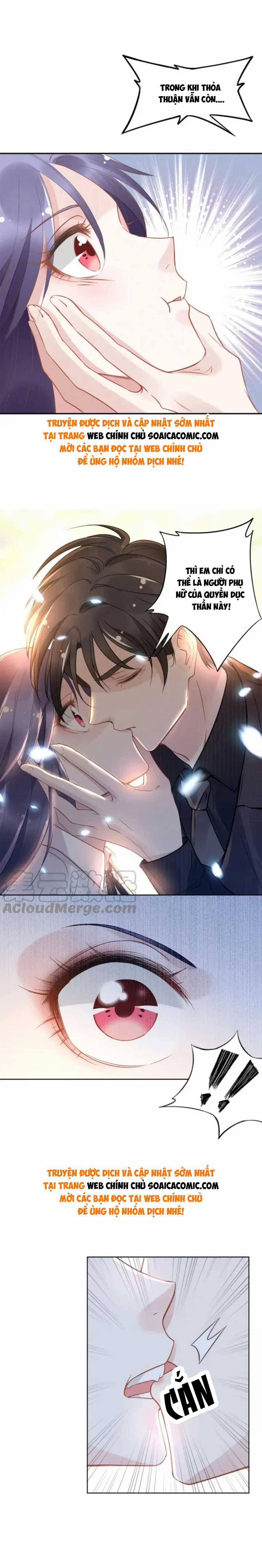 Quyền Thiếu, Vợ Anh Muốn Bỏ Trốn 14 trang 8