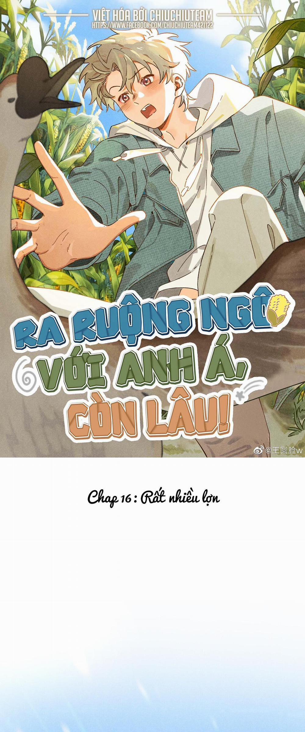Ra Ruộng Ngô Với Anh Á, Còn Lâu! 16 trang 0
