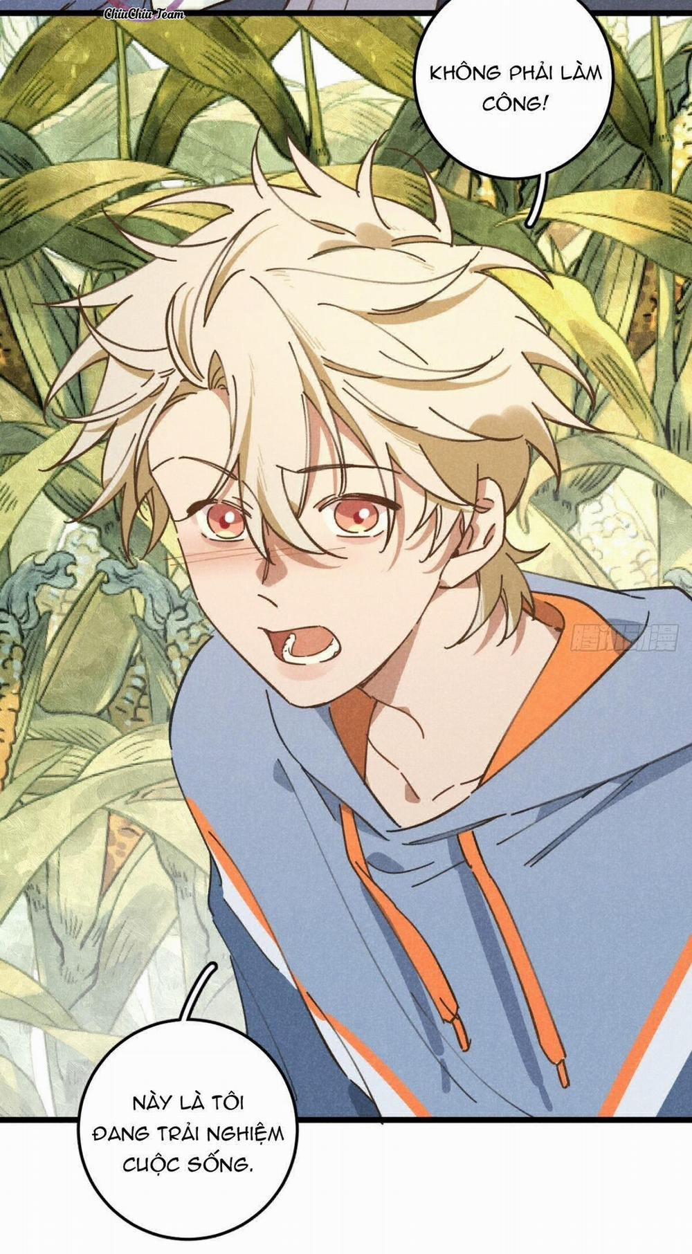 Ra Ruộng Ngô Với Anh Á, Còn Lâu! 19 trang 10