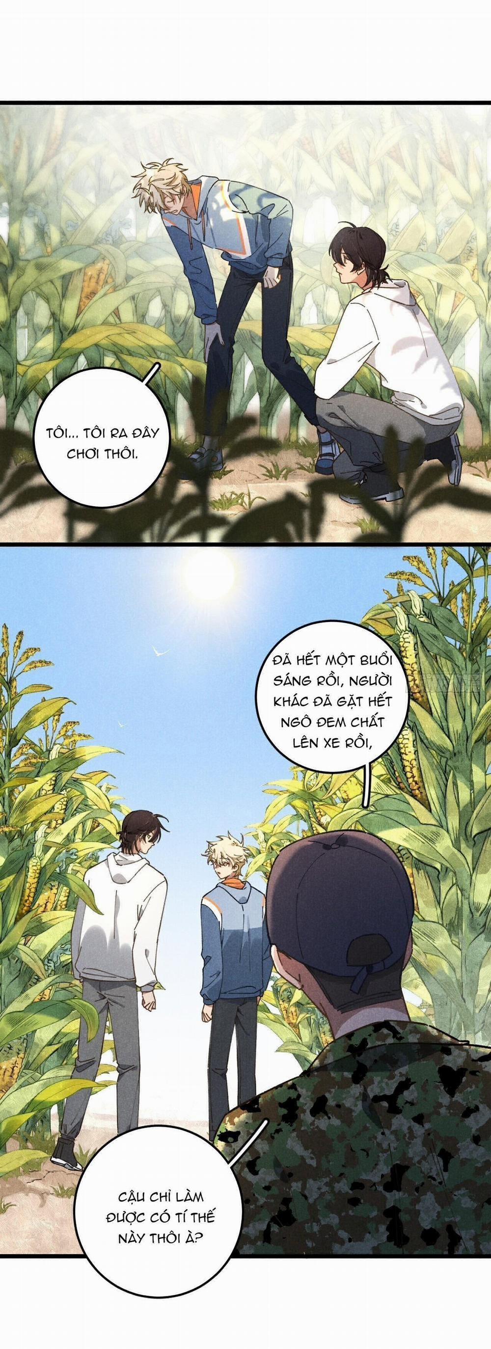 Ra Ruộng Ngô Với Anh Á, Còn Lâu! 19 trang 12