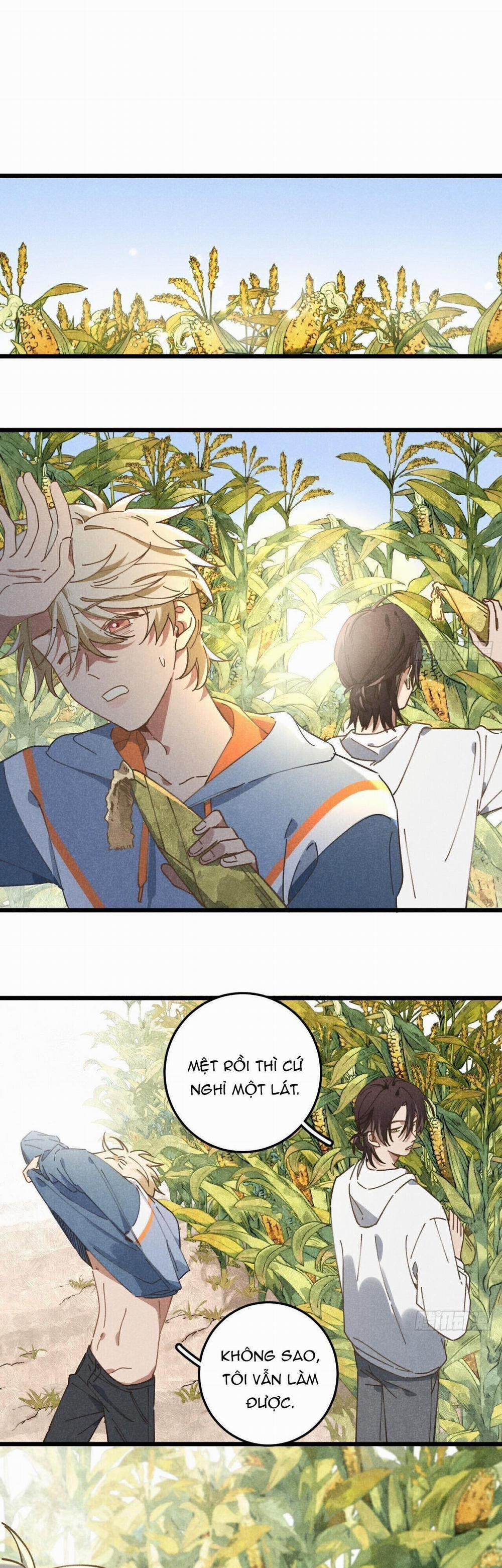 Ra Ruộng Ngô Với Anh Á, Còn Lâu! 19 trang 17