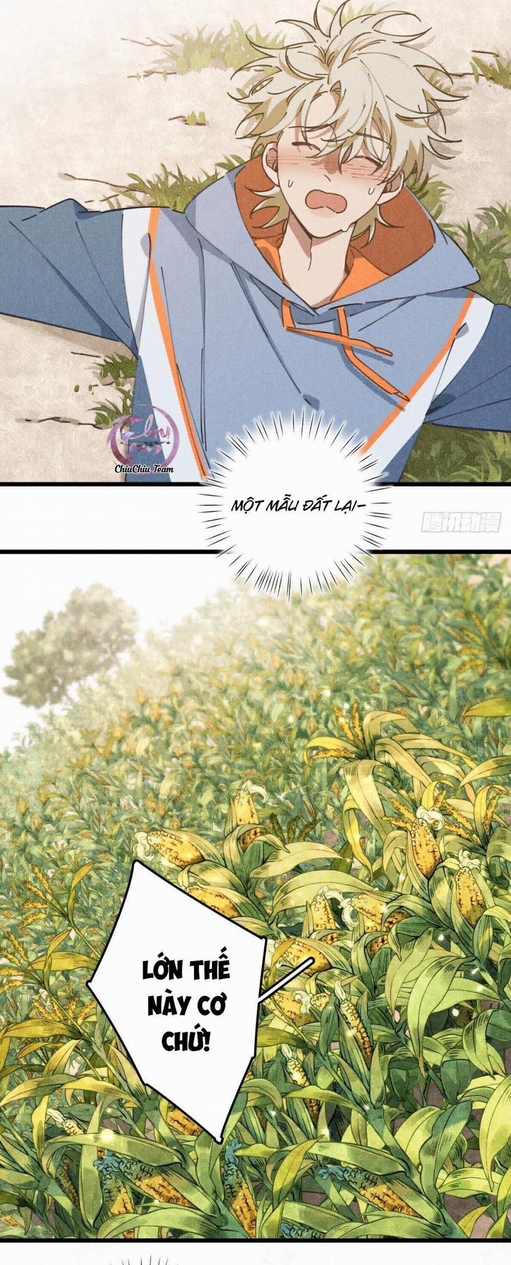 Ra Ruộng Ngô Với Anh Á, Còn Lâu! 19 trang 7