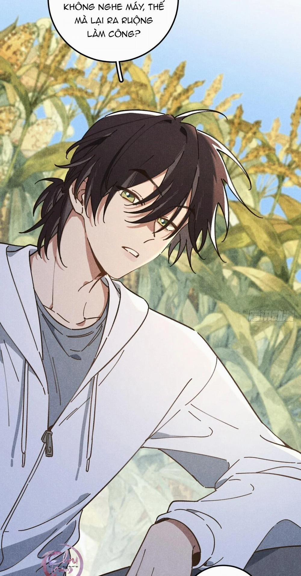 Ra Ruộng Ngô Với Anh Á, Còn Lâu! 19 trang 9