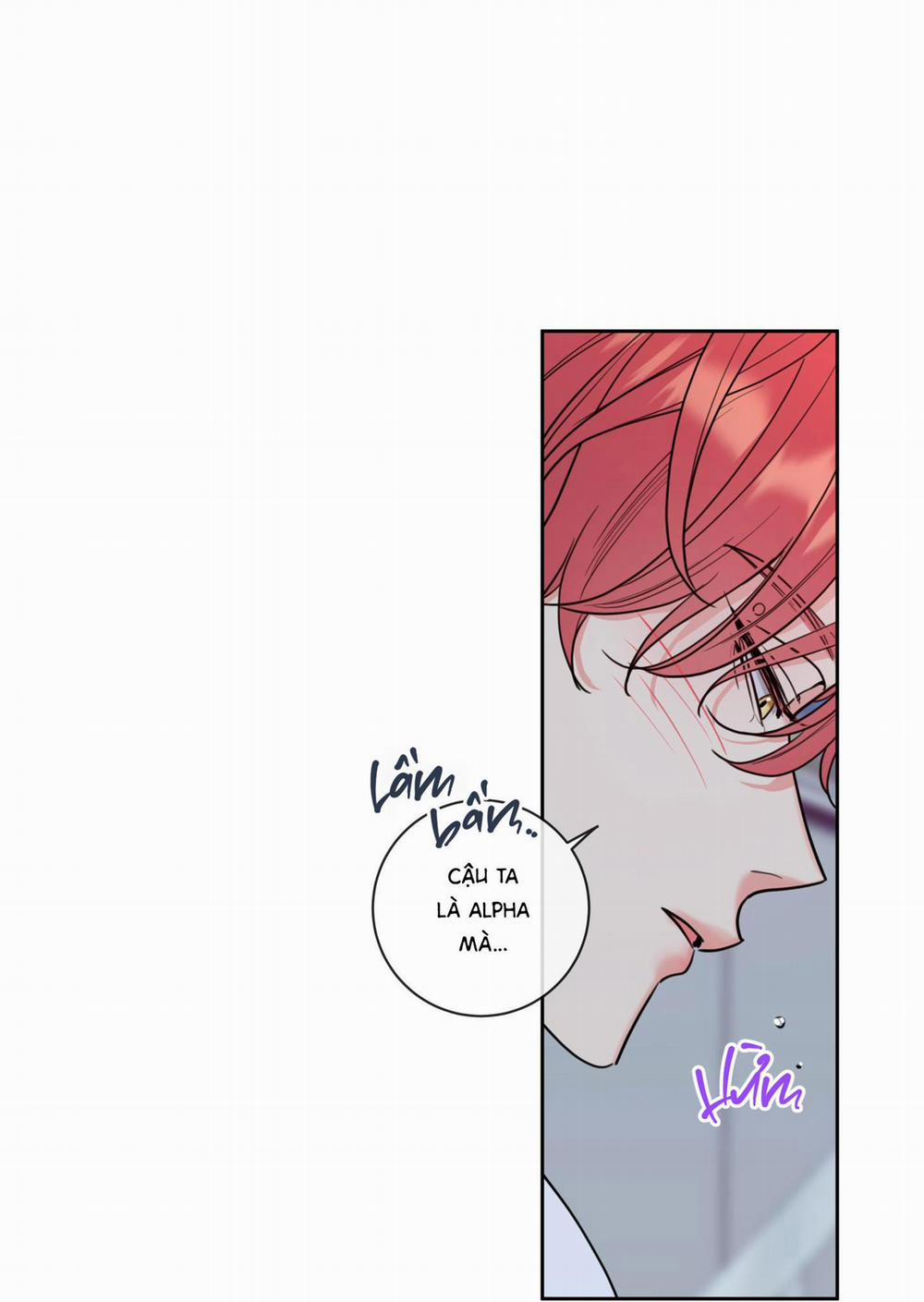 Rắc rối đường mật 14 trang 67