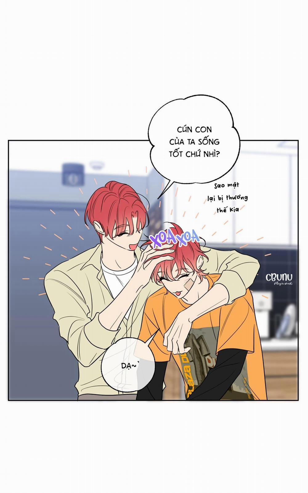 Rắc rối đường mật 16 trang 5