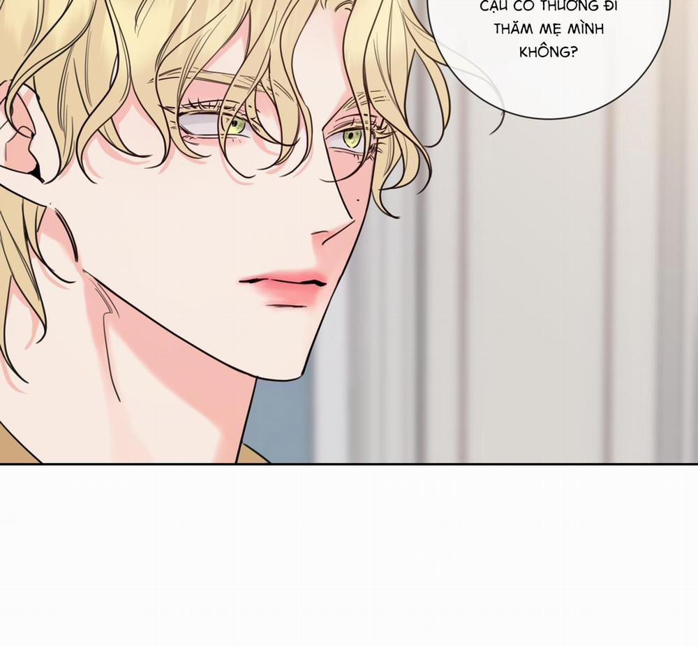 Rắc rối đường mật 4 trang 27