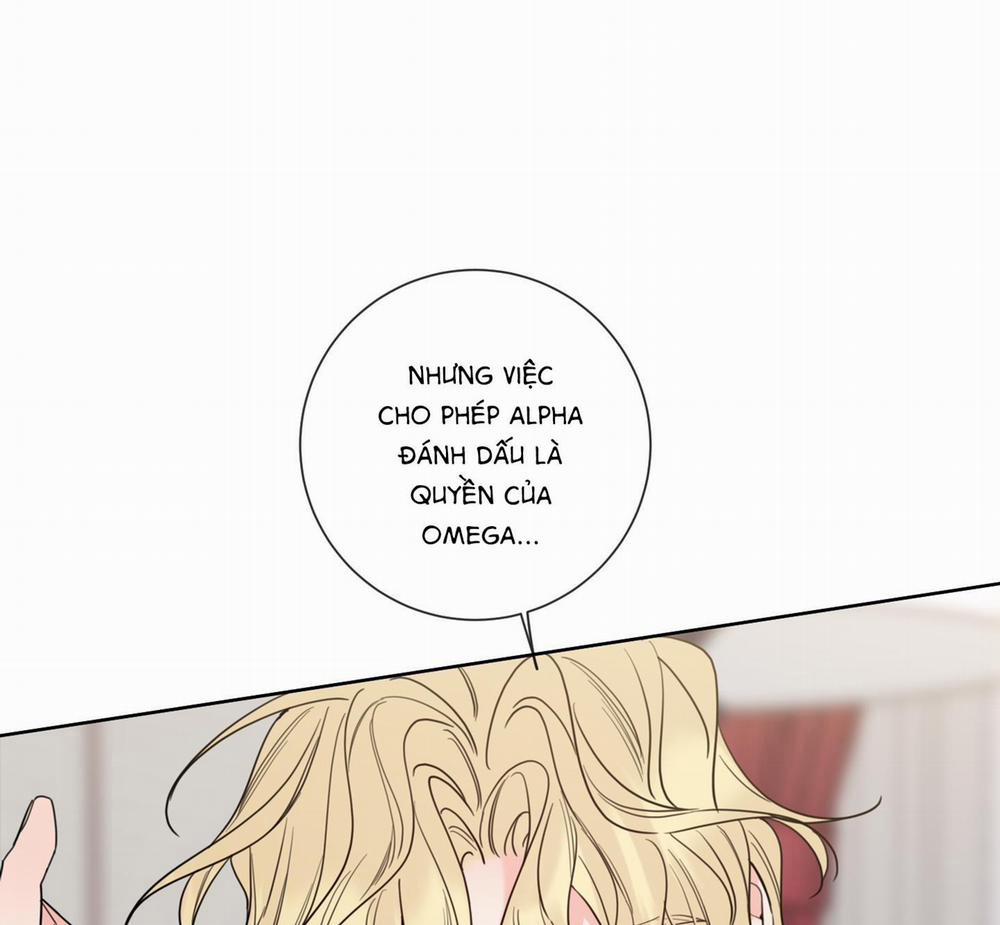 Rắc rối đường mật 4 trang 37