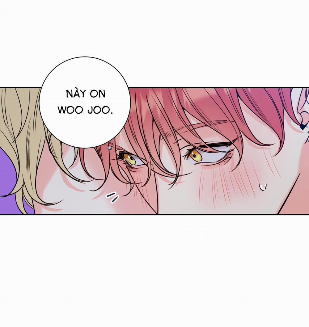 Rắc rối đường mật 9 H+ trang 4