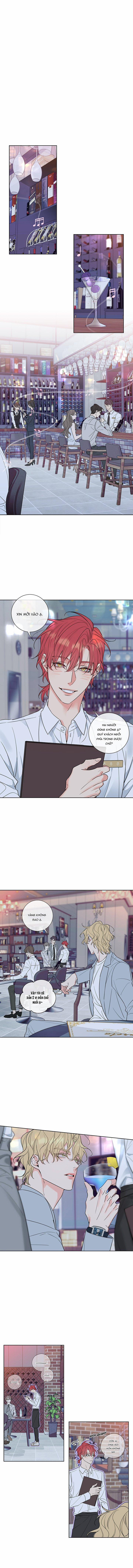 Rắc Rối Mật Ngọt 1 trang 0