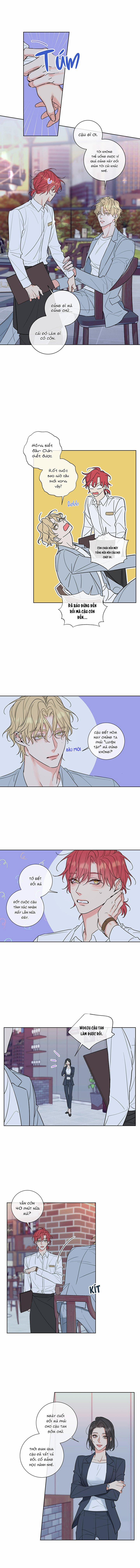 Rắc Rối Mật Ngọt 1 trang 1