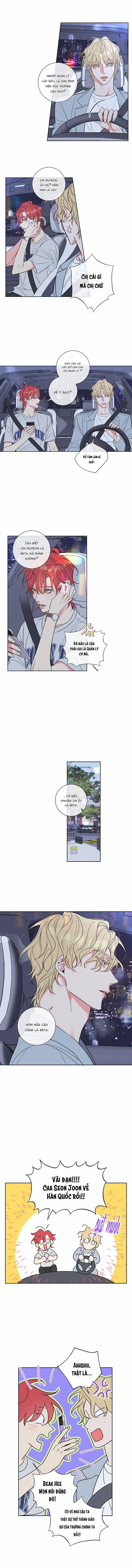 Rắc Rối Mật Ngọt 1 trang 3