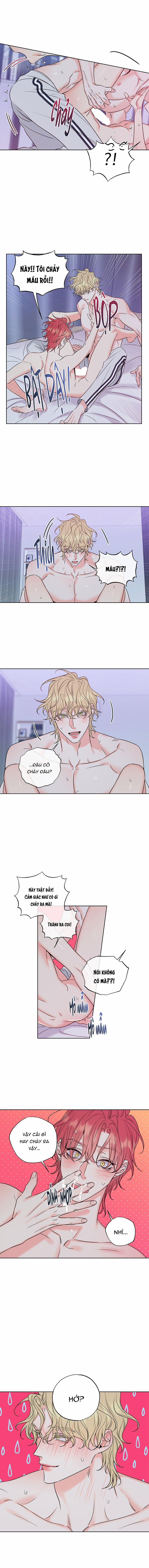 Rắc Rối Mật Ngọt 10 trang 1