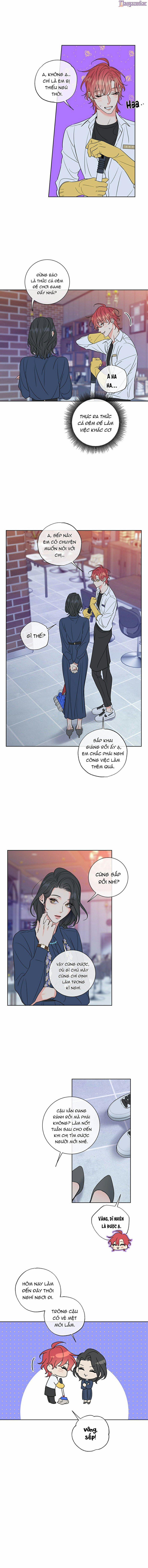 Rắc Rối Mật Ngọt 12 trang 4