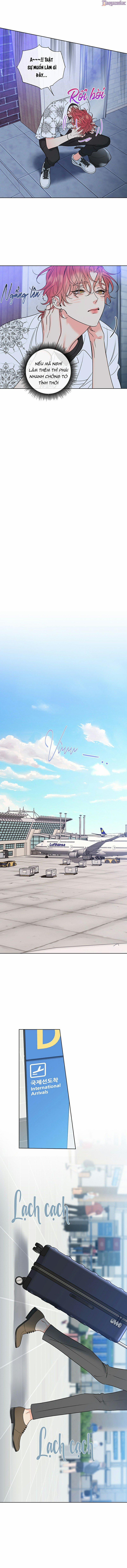 Rắc Rối Mật Ngọt 12 trang 8