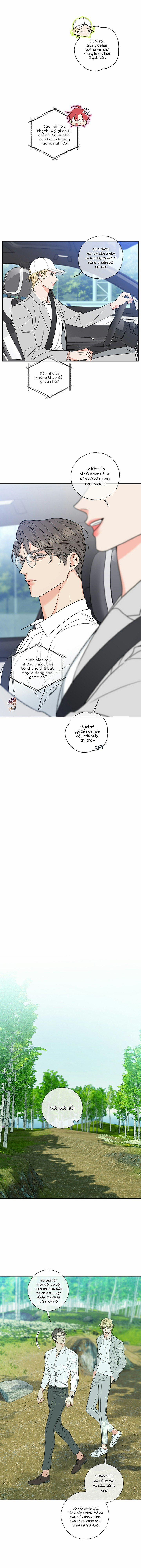 Rắc Rối Mật Ngọt 13 trang 3