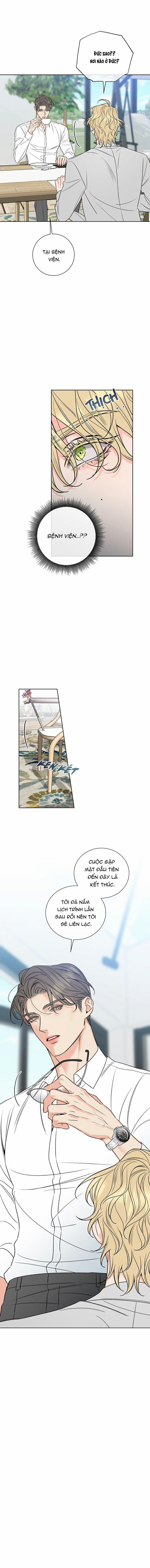 Rắc Rối Mật Ngọt 13 trang 8