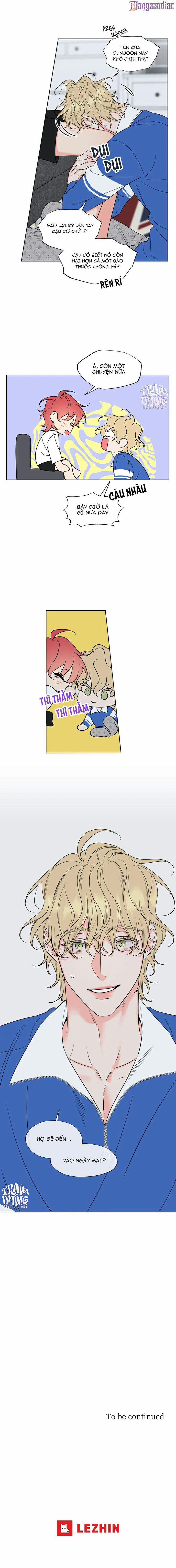 Rắc Rối Mật Ngọt 15 trang 11