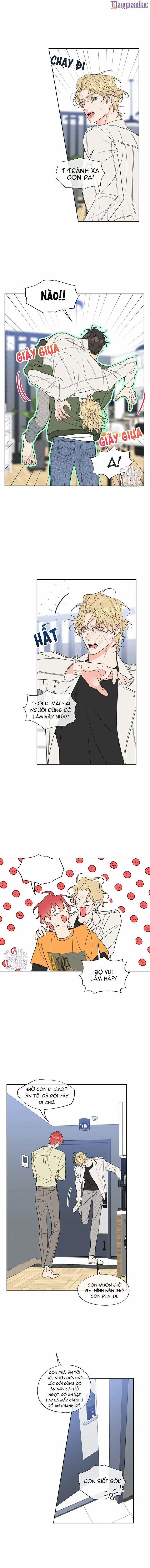 Rắc Rối Mật Ngọt 16 trang 1