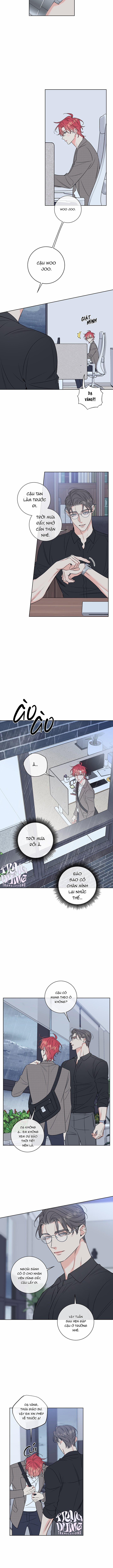 Rắc Rối Mật Ngọt 19 trang 1