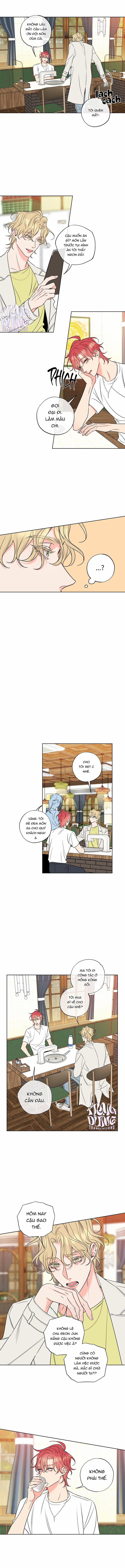 Rắc Rối Mật Ngọt 19 trang 4