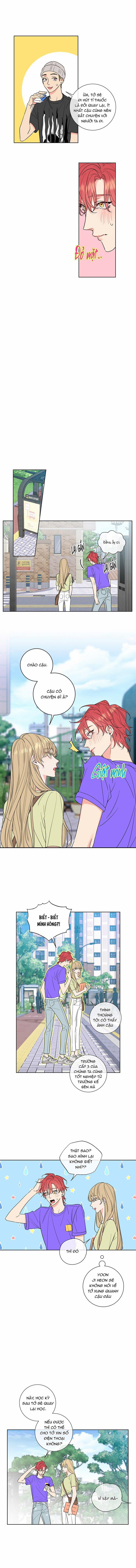 Rắc Rối Mật Ngọt 2 trang 6