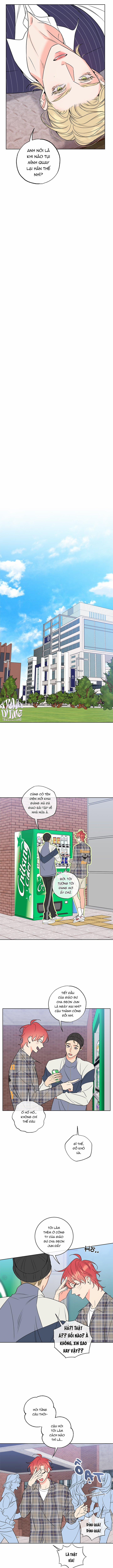 Rắc Rối Mật Ngọt 20 trang 1