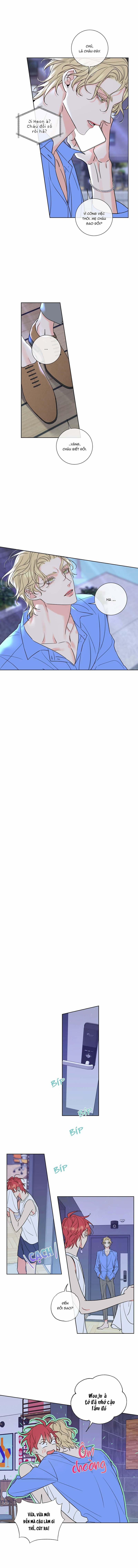 Rắc Rối Mật Ngọt 4 trang 5