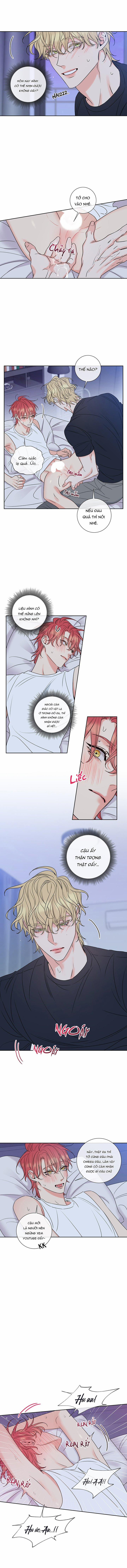 Rắc Rối Mật Ngọt 5 trang 2