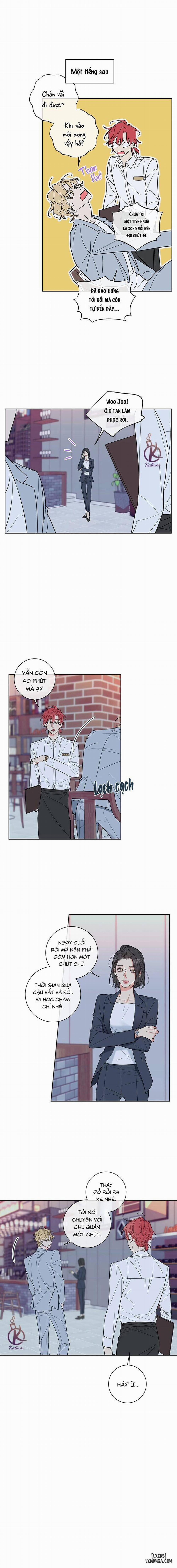 Rắc rối ngọt ngào - Honey trouble 14 trang 5