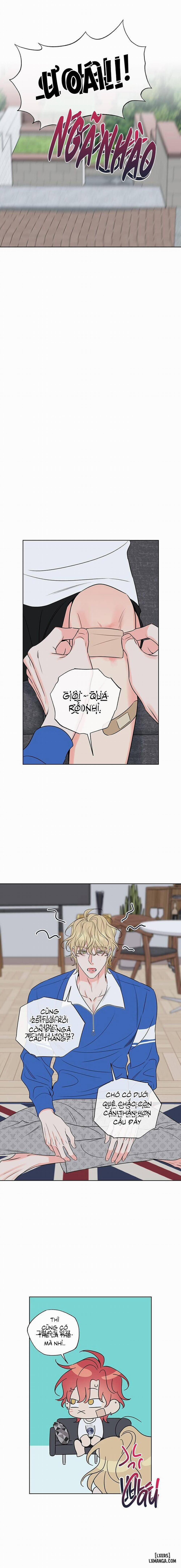 Rắc rối ngọt ngào - Honey trouble 15 trang 8