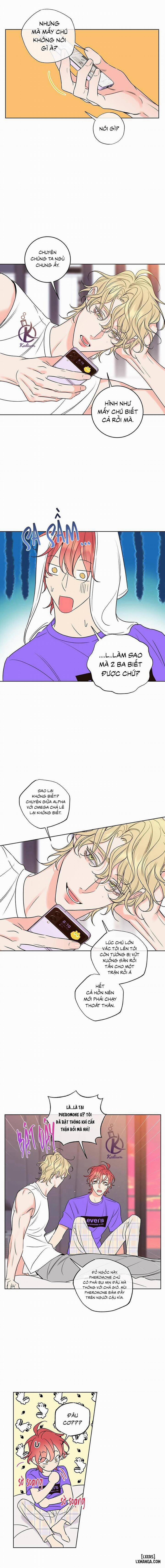 Rắc rối ngọt ngào - Honey trouble 16 trang 8