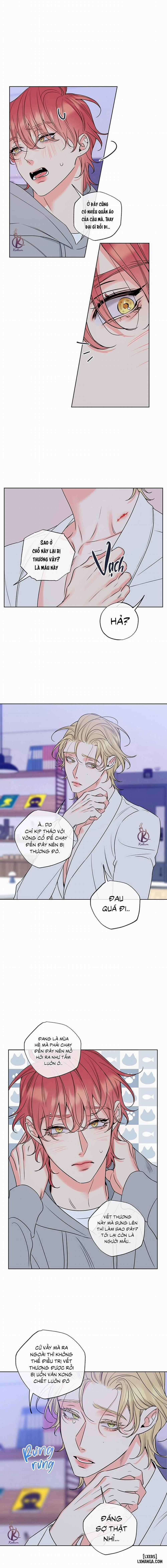 Rắc rối ngọt ngào - Honey trouble 18 trang 3