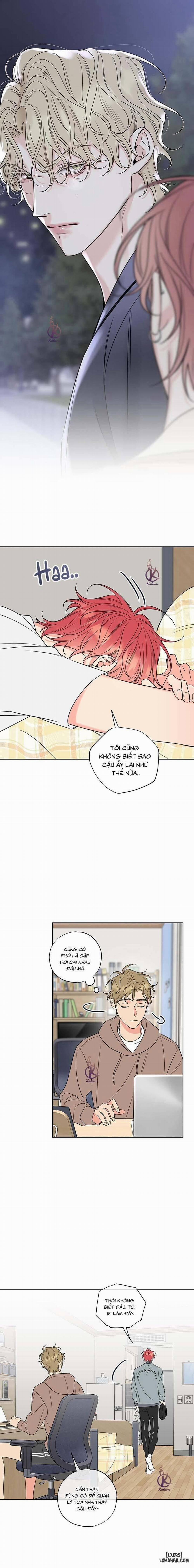 Rắc rối ngọt ngào - Honey trouble 28 trang 1