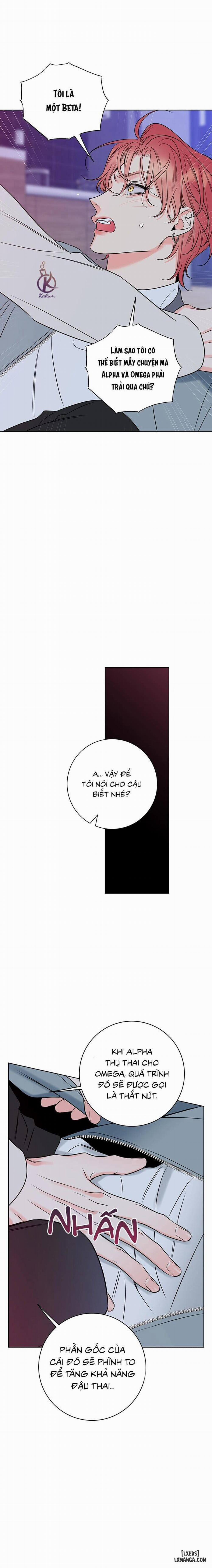 Rắc rối ngọt ngào - Honey trouble 29 trang 15