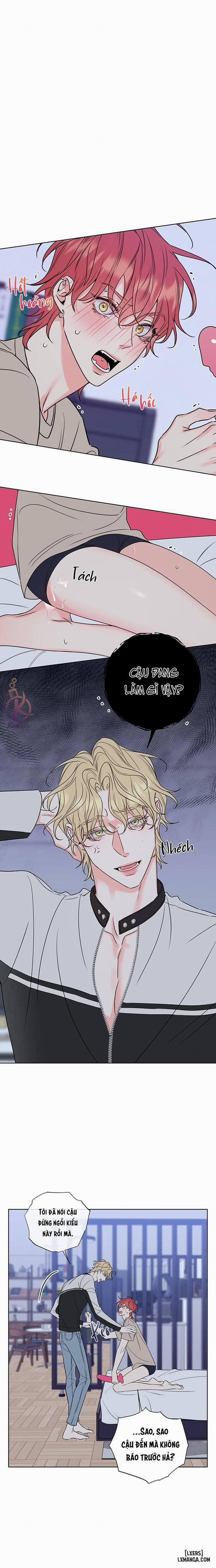 Rắc rối ngọt ngào - Honey trouble 8 trang 0