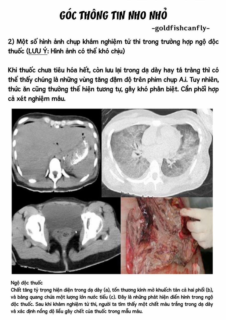 Radiation House 104 trang 26