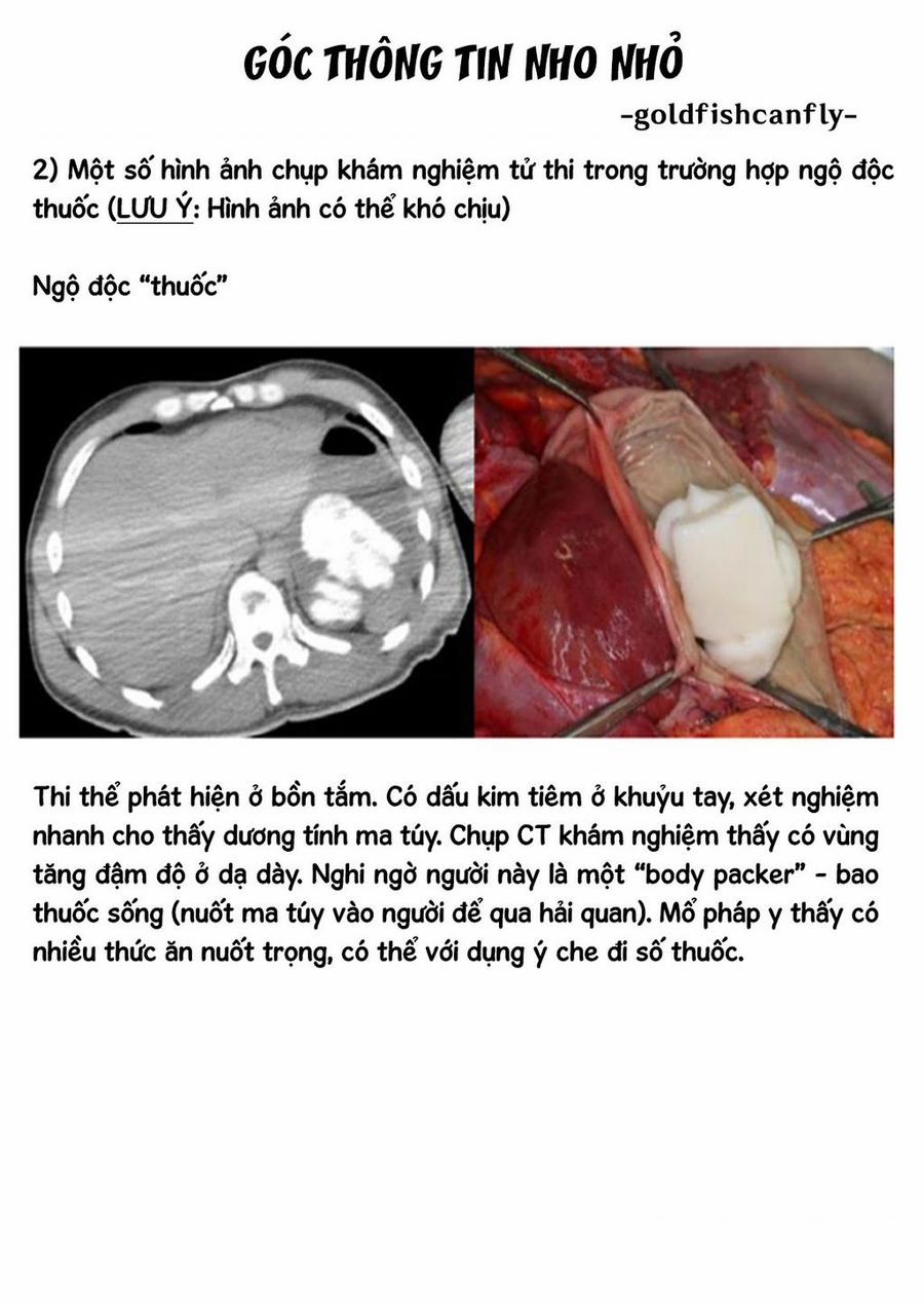 Radiation House 104 trang 27