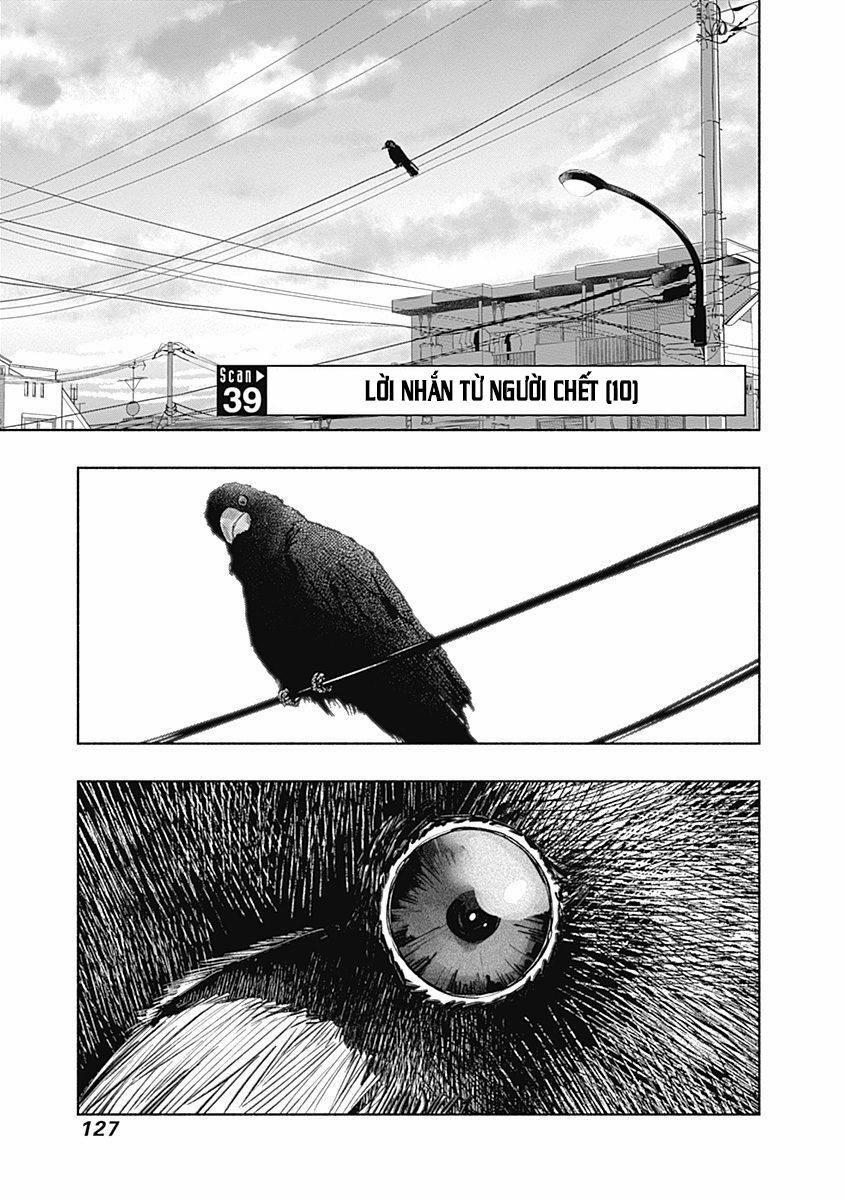 Radiation House 39 trang 0