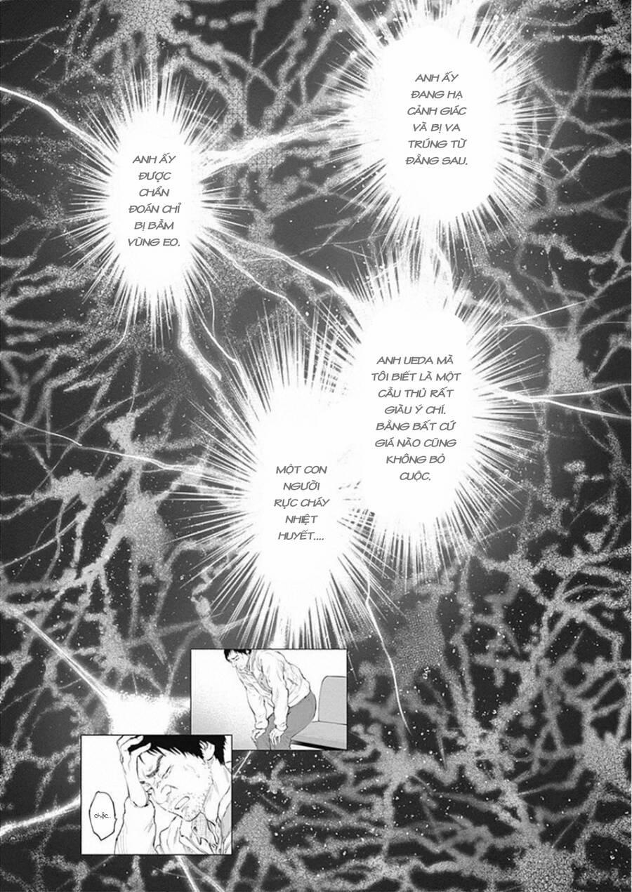 Radiation House 78 trang 12