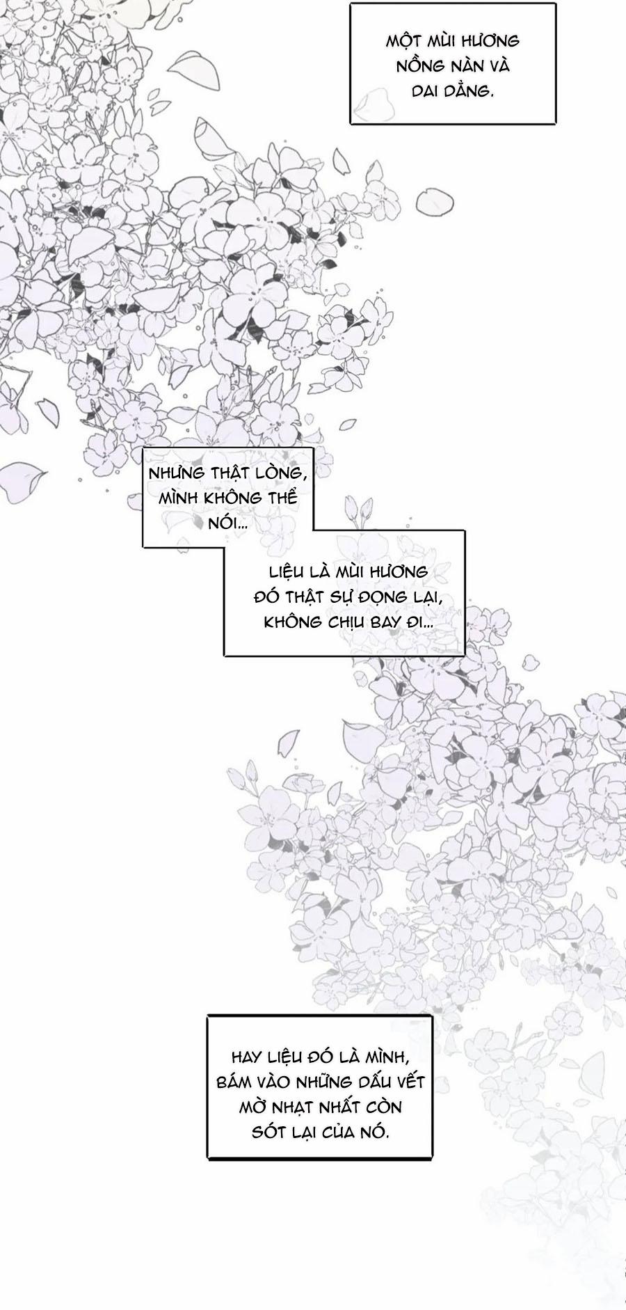 Rain Yêu Dấu 65 trang 47