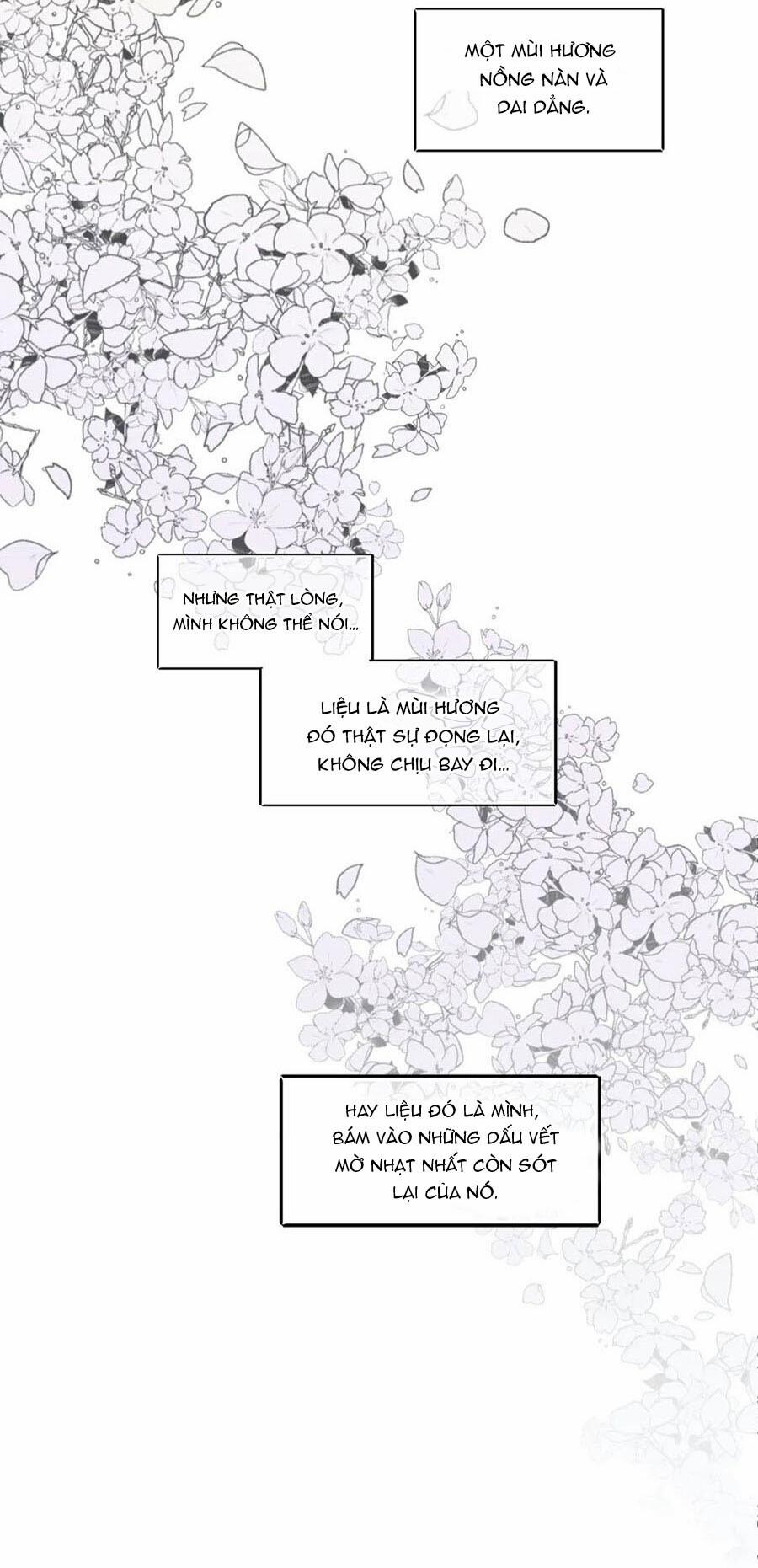 Rain Yêu Dấu 66 trang 2