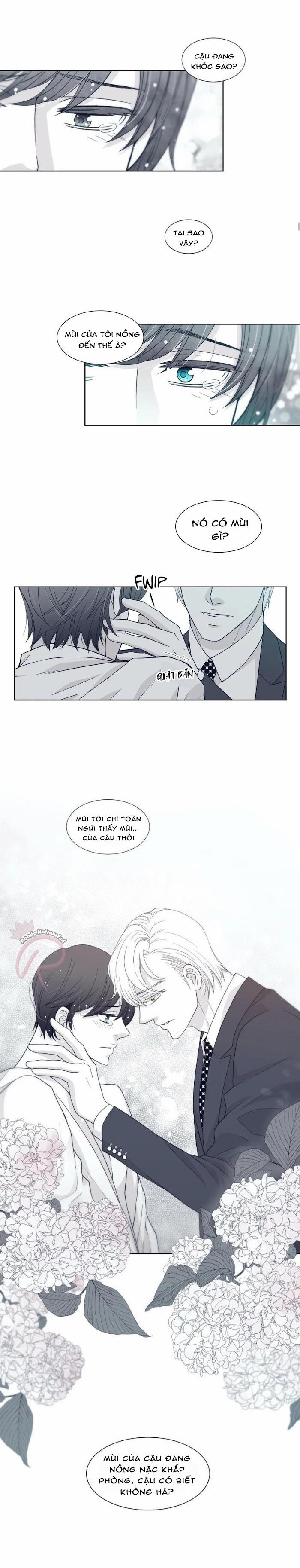 Rain Yêu Dấu 9 trang 17